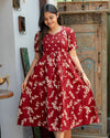 Srishti Maternity Dress