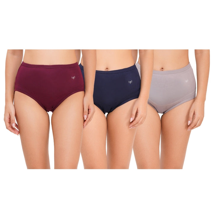 Combo Everyday Maternity Panties (Pre & Post Delivery) – Pack of 3