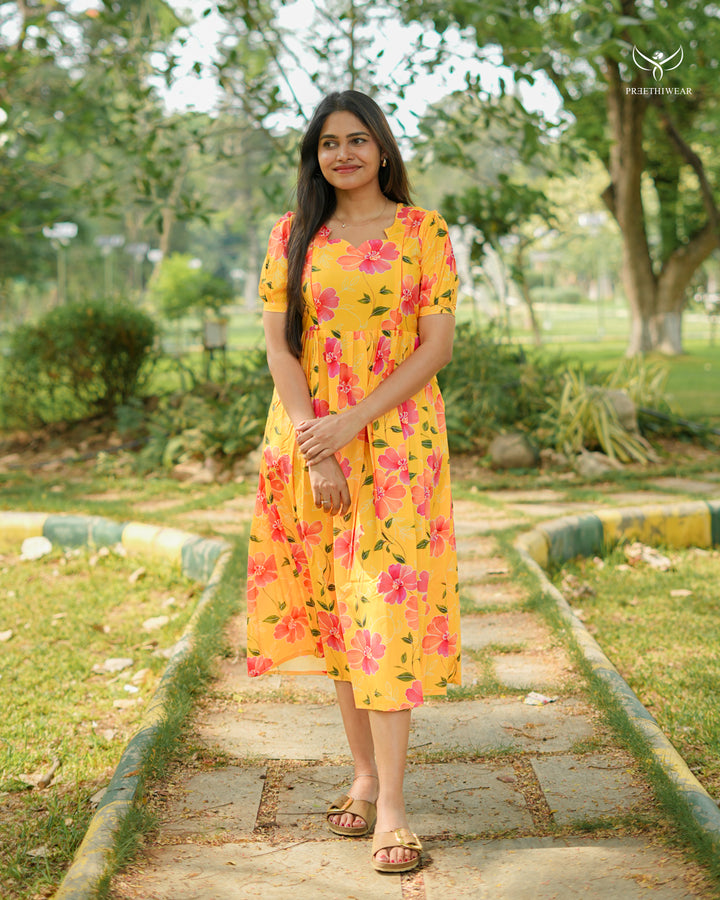 Aira Maternity Dress