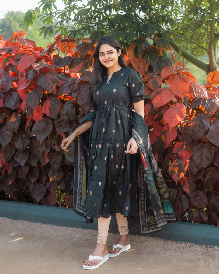 Anisha3  Maternity Dress