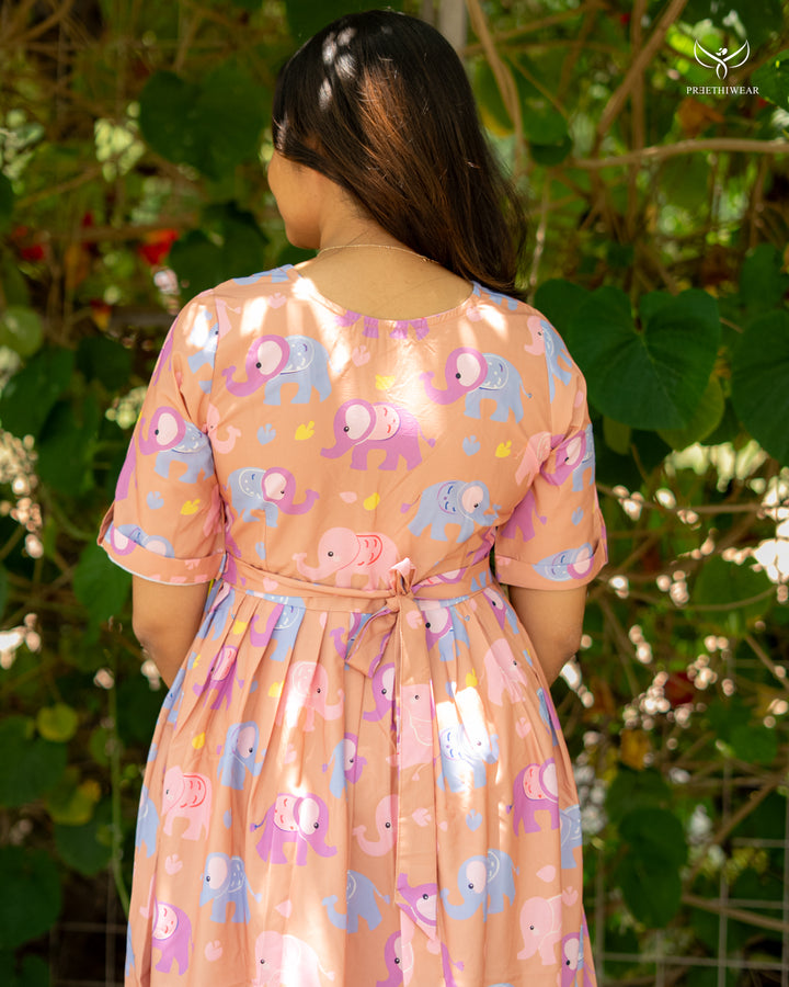 Nandhinee Maternity Dress