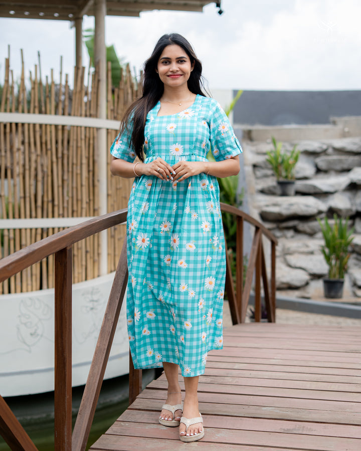 Apurwa Maternity Dress
