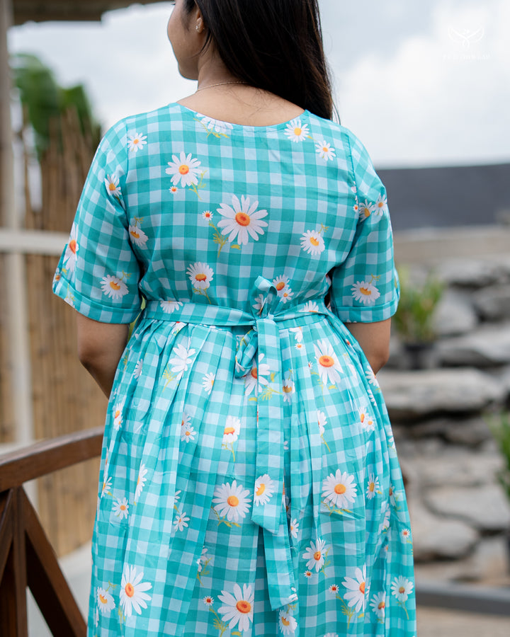 Apurwa Maternity Dress