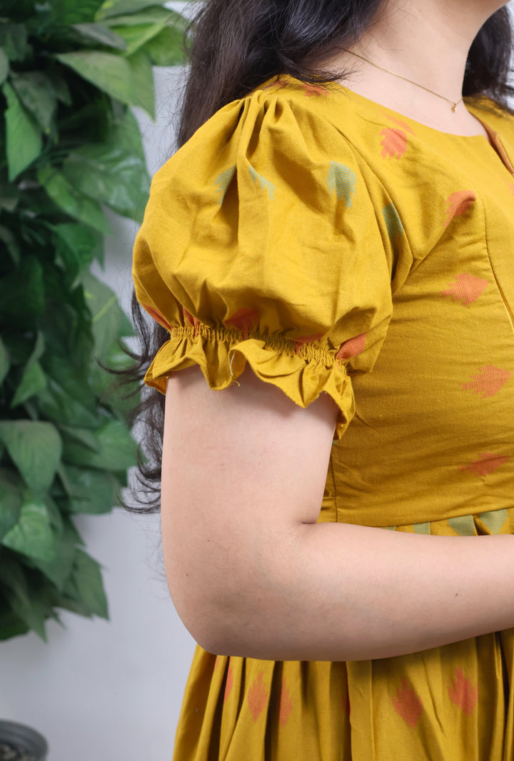 Shubhani Maternity Dress