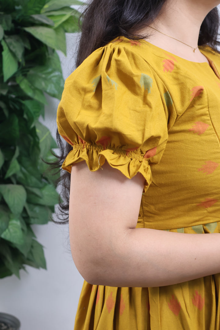 Shubhani Maternity Dress