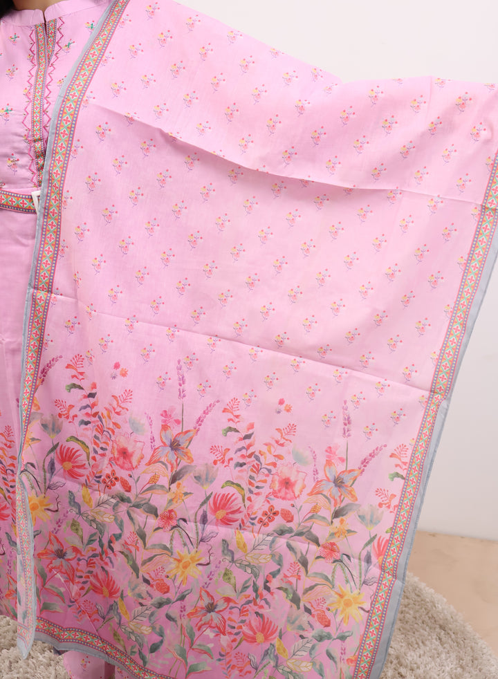 Renuka Straight kurthi  (Non-maternity)