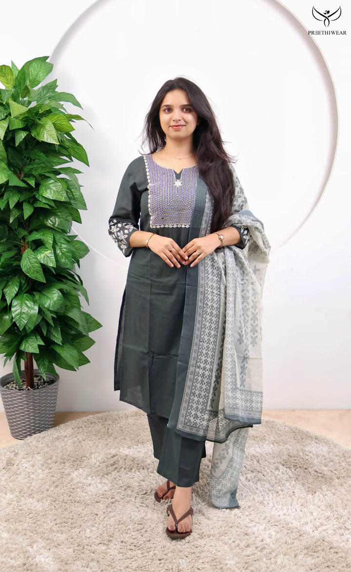 Sharmila Straight kurthi  (Non-maternity)