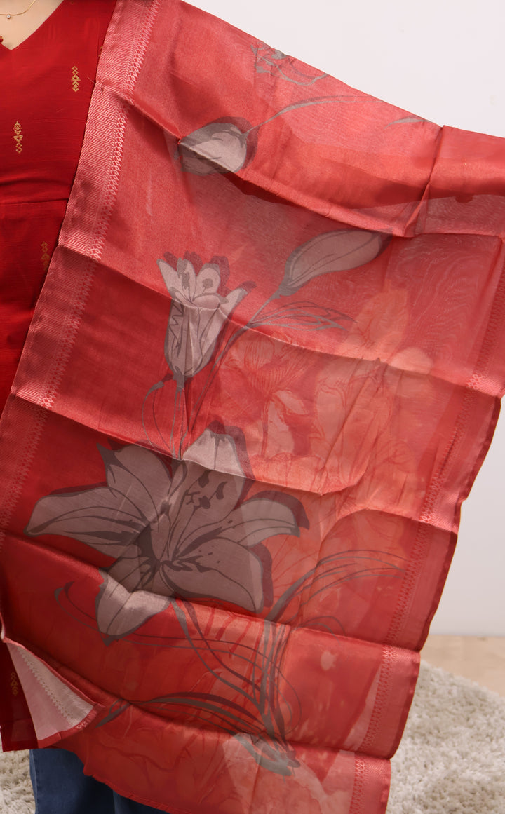Bhawana Maternity Dress