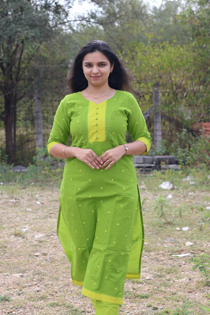 Rashmi3  Maternity Dress