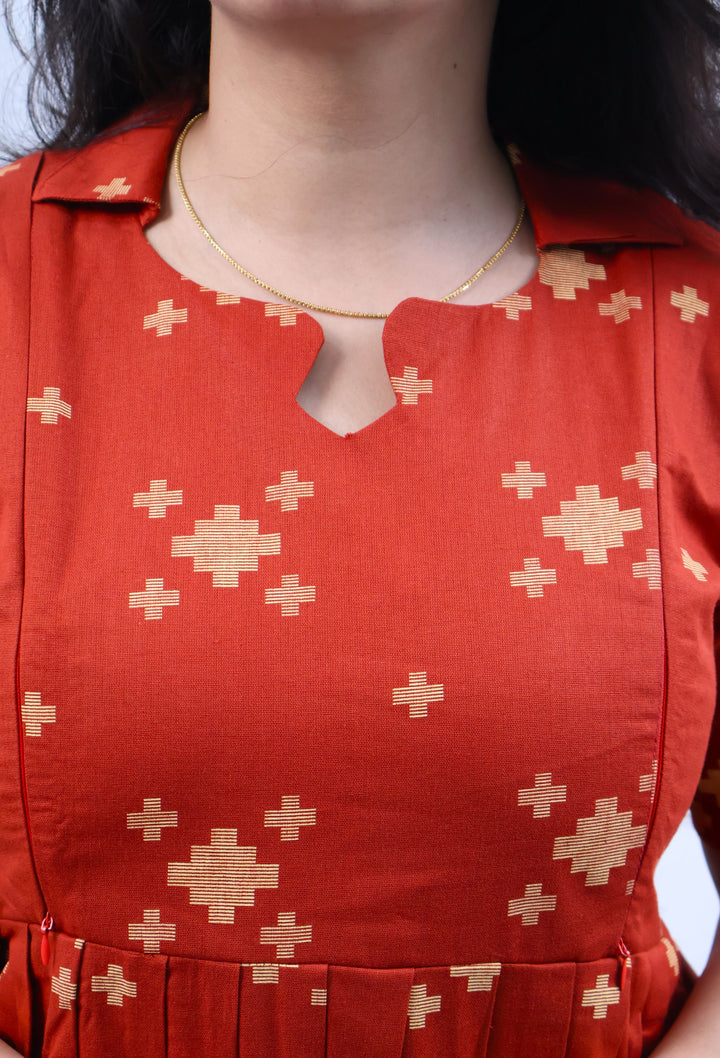 Takshvi Maternity Dress