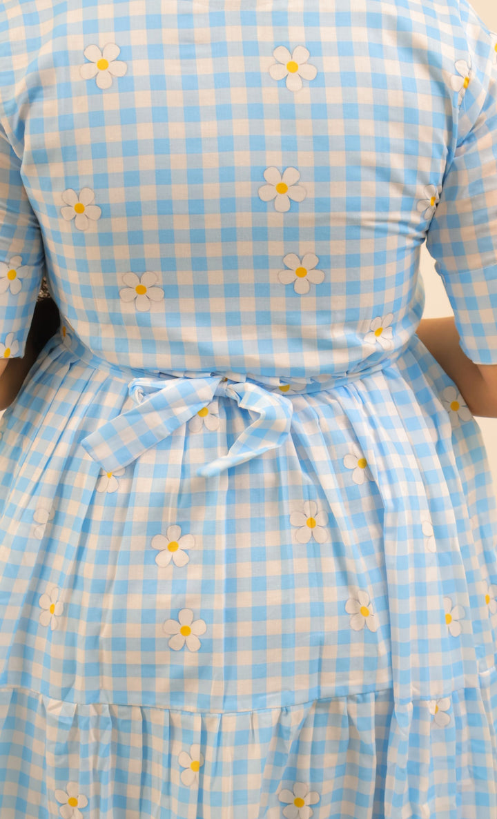 Iswarya Maternity Dress