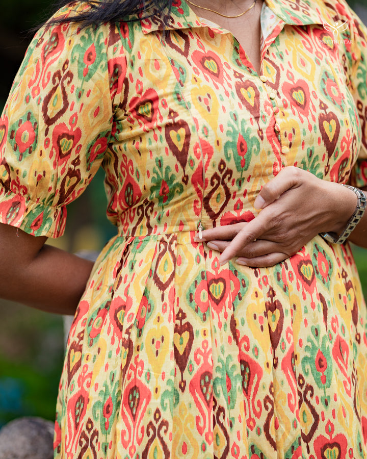 Pranitha Maternity Dress