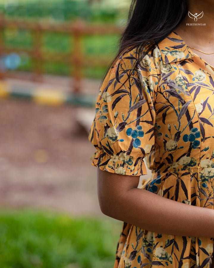 Aswini Maternity Dress
