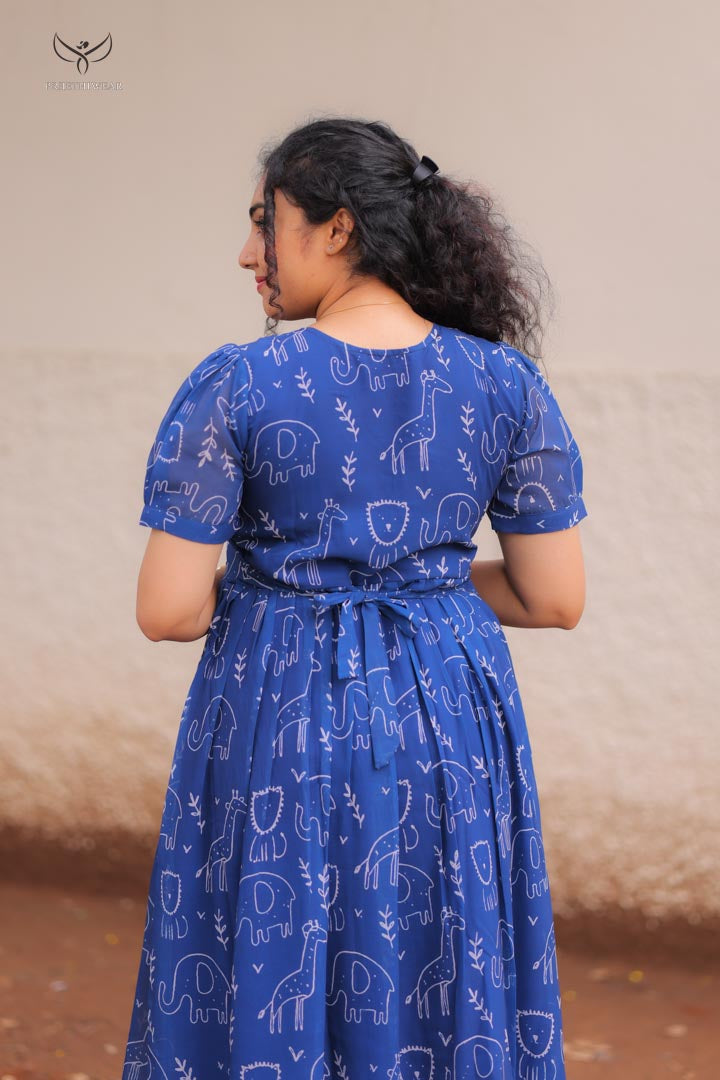 Bhavani3 Maternity Dress
